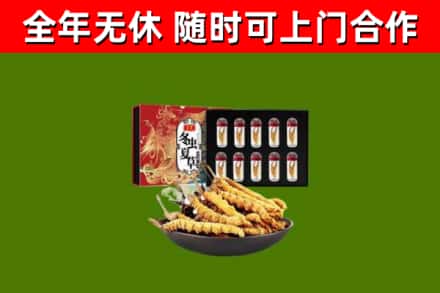 吉水回收冬虫夏草价格